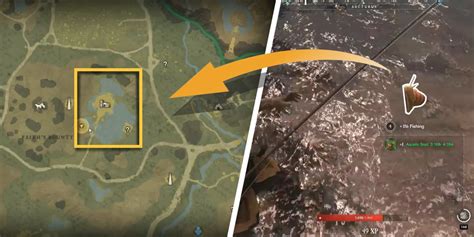 New World Snails: Locations And How To Catch Snails.